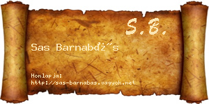 Sas Barnabás névjegykártya